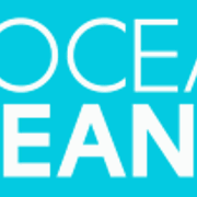 The Ocean Cleanup