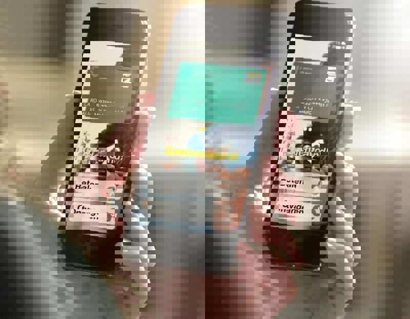 Voordelig Online Bancontact betalingen accepteren binnen Website of Webshop