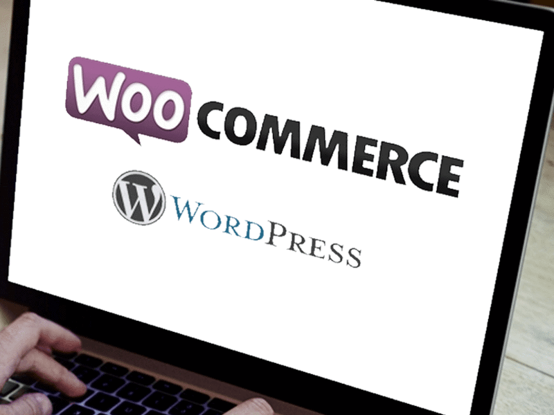 Wordpress WooCommerce Webshop - Betalingen ontvangen - Payment Supplier | Buckaroo