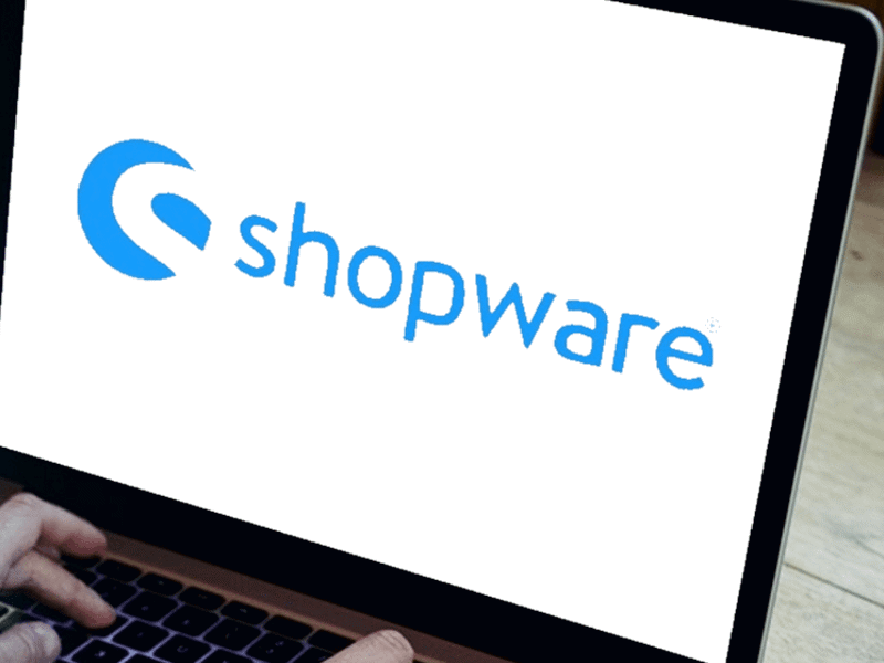 ShopWare - Betalingen ontvangen - Payment Supplier | Buckaroo