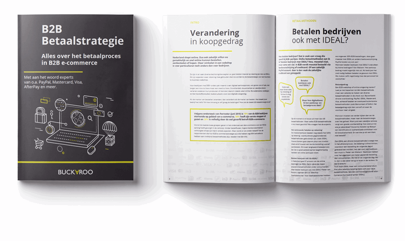 De B2B betaalstrategie download de whitepaper