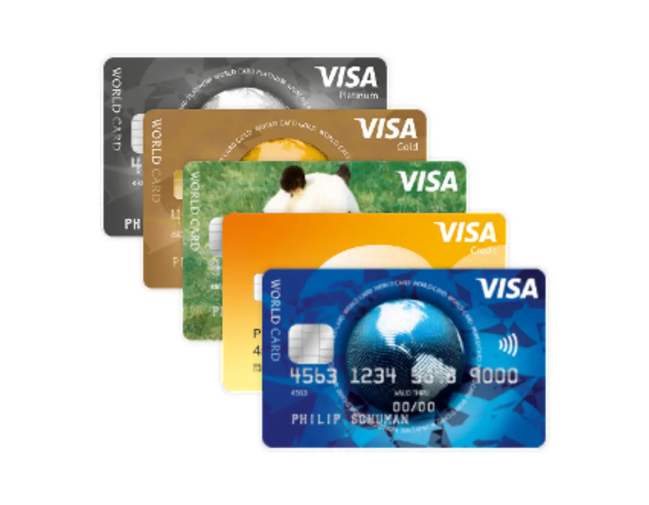 creditcard betalingen op je webshop aanvragen