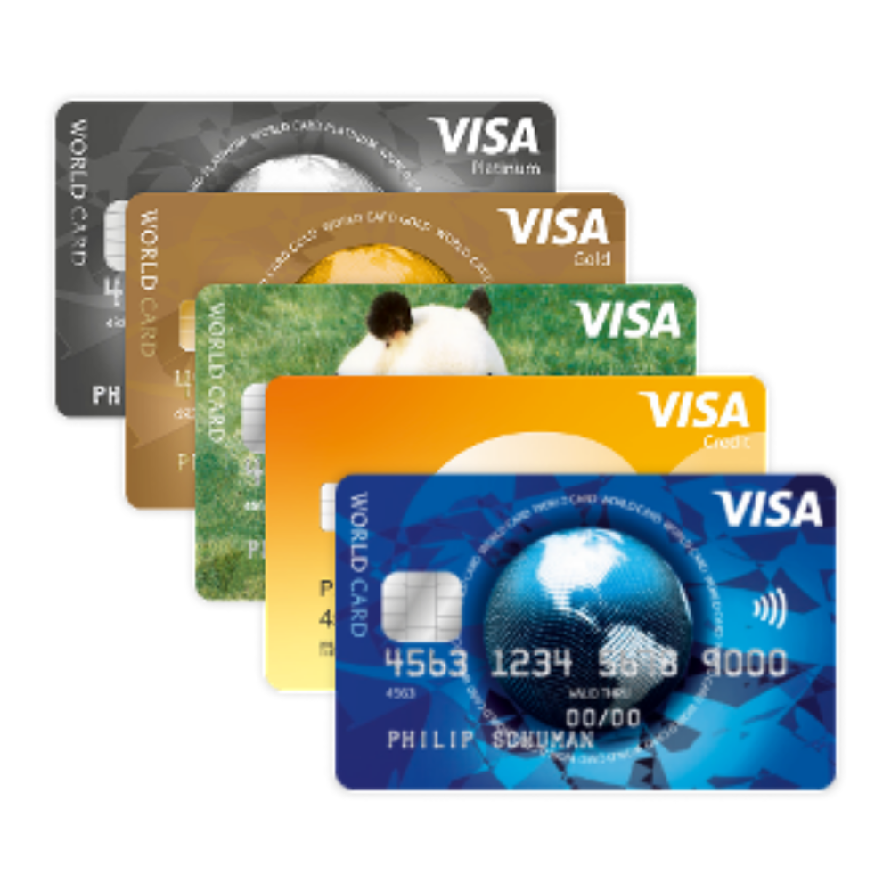 creditcard betalingen op je webshop aanvragen