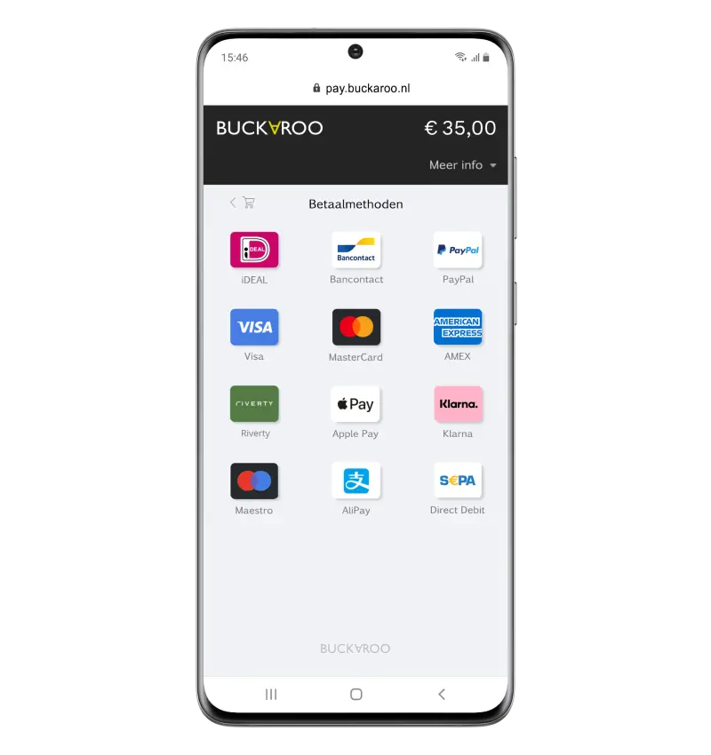 Webshop Betalingen Accepteren met de Buckaroo Smart Checkout