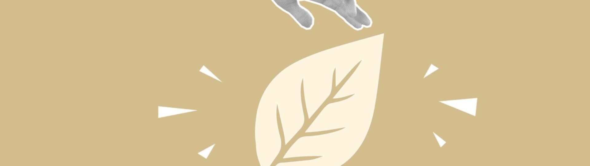 CTS Background