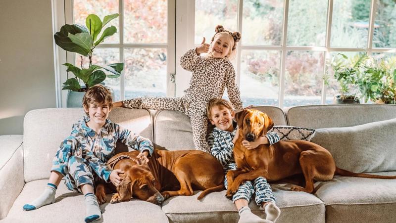 271529481 5053759467990098 4809949660189292627 N