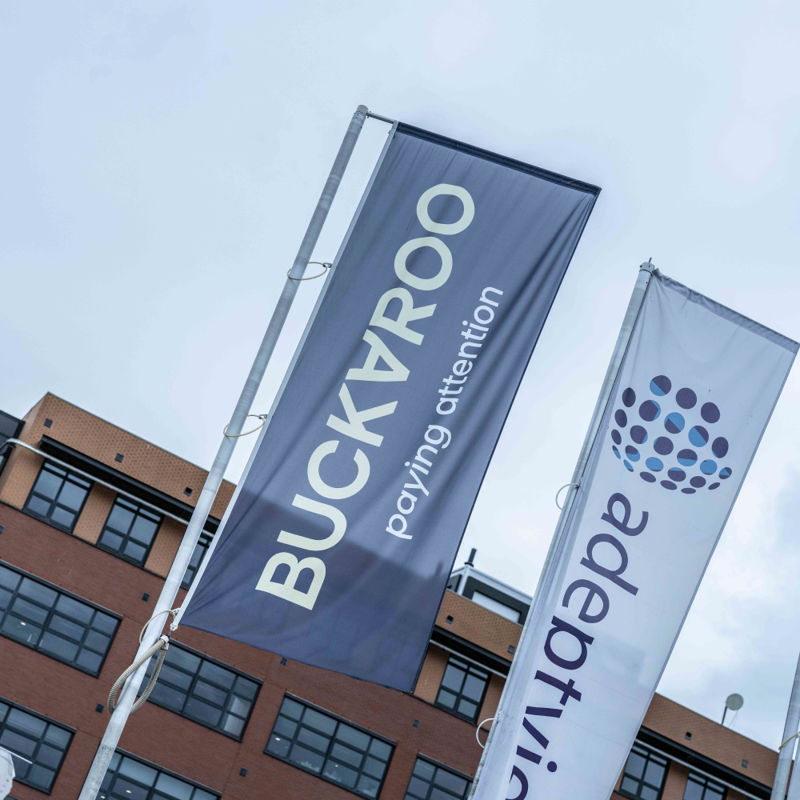Buckaroo Hq