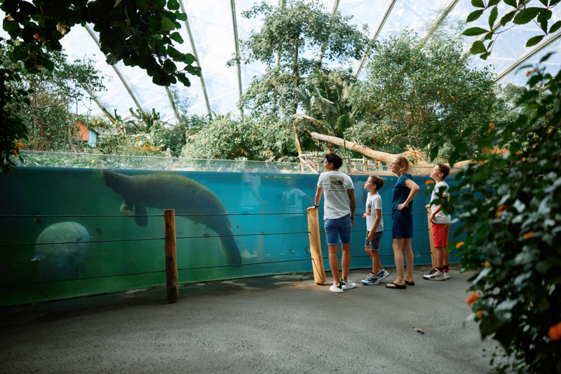 Burgers Zoo Deel 2 123