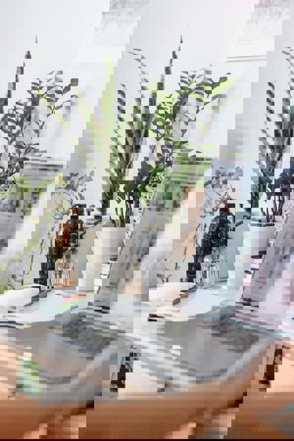 Buckaroo Online Wallet - Eenvoudig betalen vanuit een online tegoed