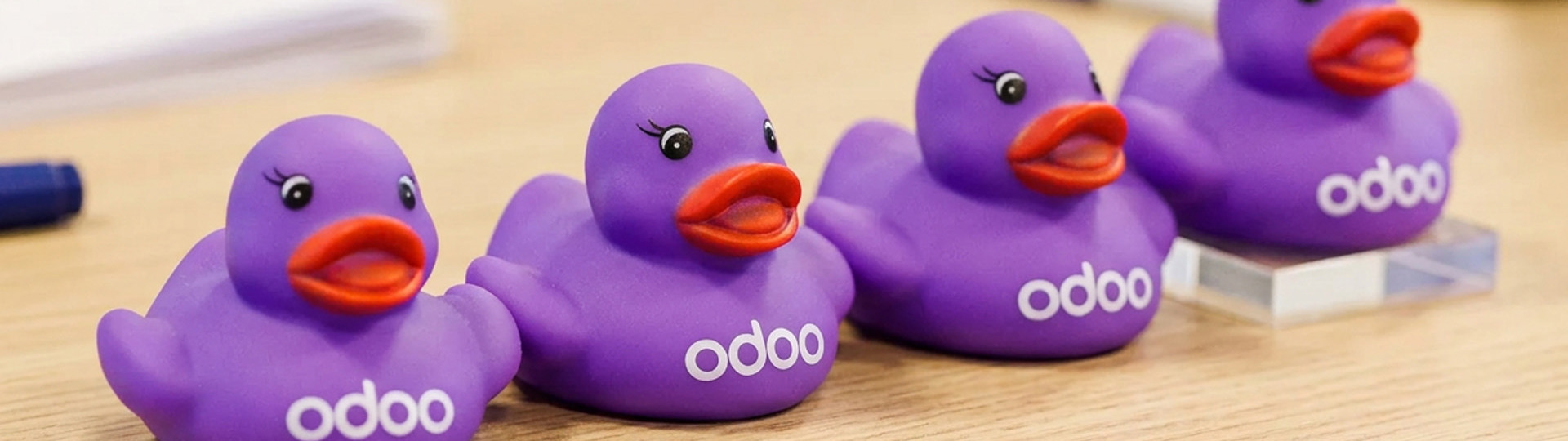 Odoo Buckaroo Header